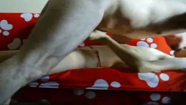 Live Skandal ABG Jakarta Bispak Hotel Mewah Terekam Menggemparkan 2026